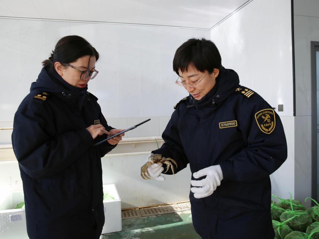 农产品加速出海 “草原风味”正扩大“朋友圈”