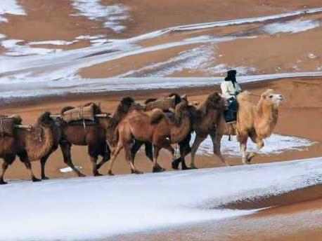 读懂内蒙古｜ 心之所往 向善而行 内蒙古阿拉善盟