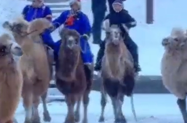 直击内蒙古冰雪那达慕彩排现场