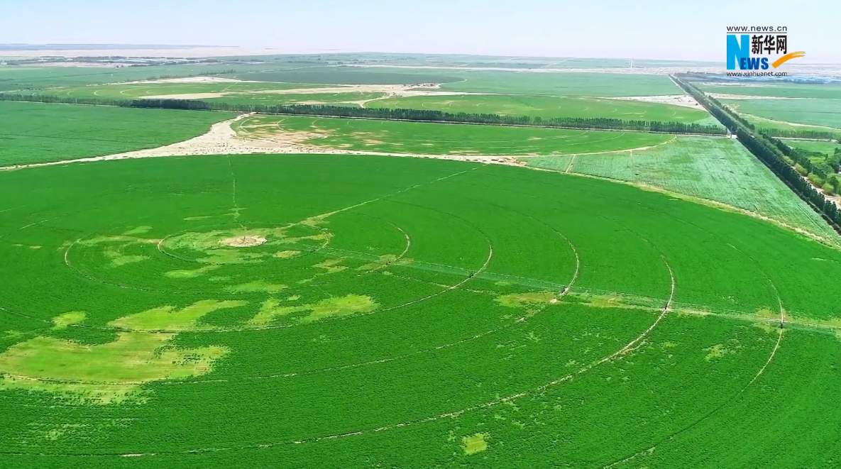 蒙牛集团助力内蒙古“两个屏障”建设