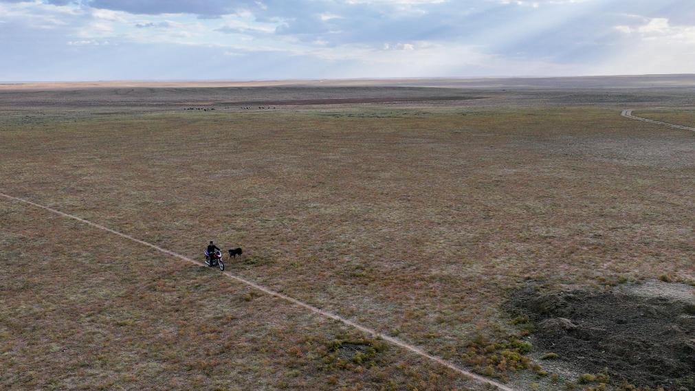 走近“国家的孩子”，感受草原上的大爱