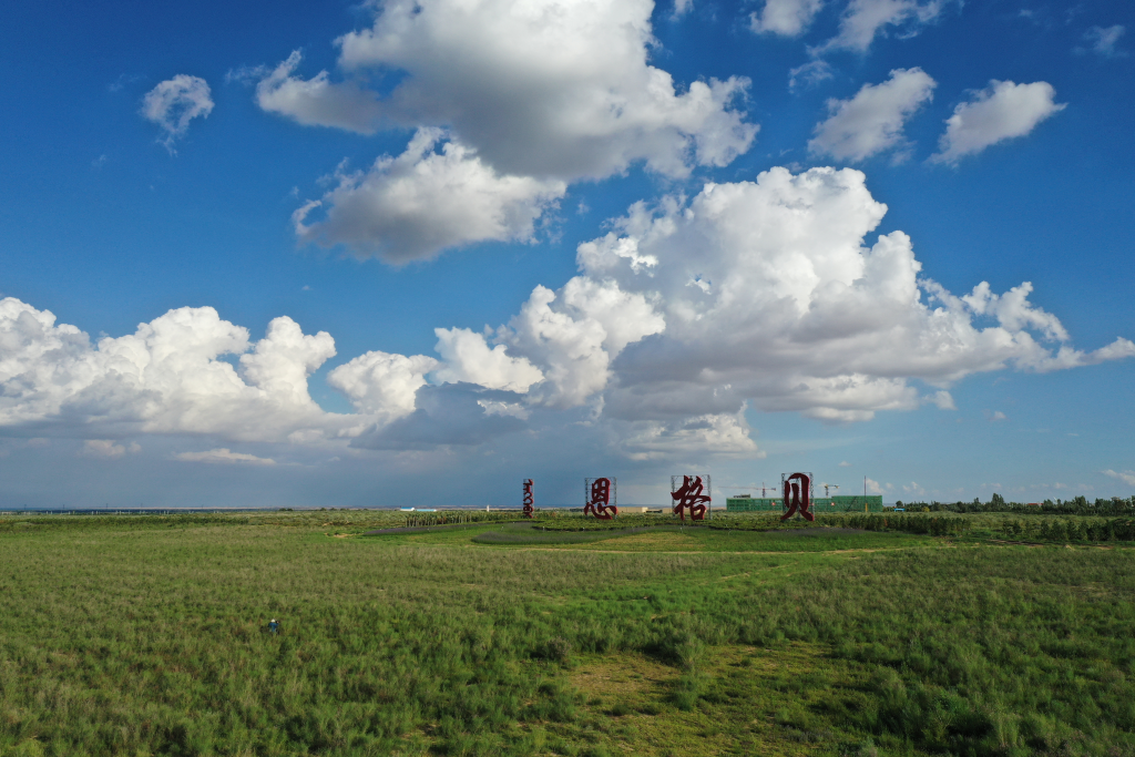 恩格贝生态示范区：黄沙终披绿  点绿已成金