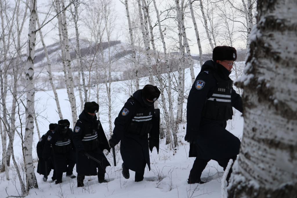 呼伦贝尔：边境派出所民警踏雪巡边