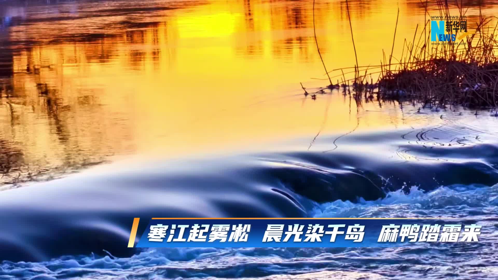 大兴安岭森林公安局金河分局开展庆祝警察节活动