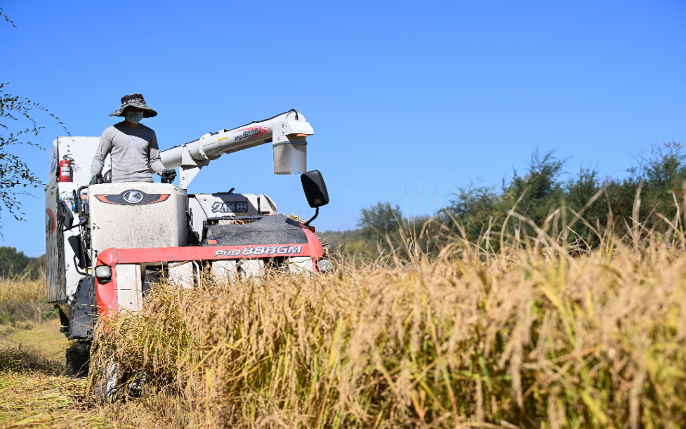 内蒙古兴安盟绿色农畜产品产业助力乡村振兴