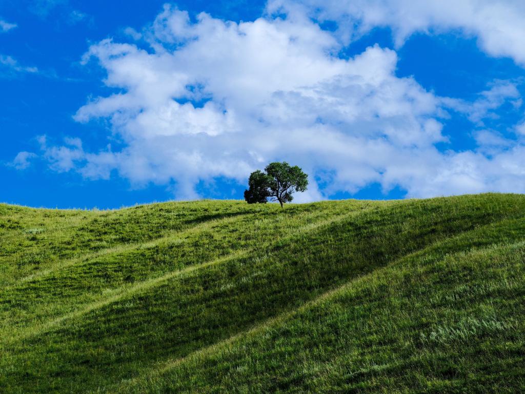 我的2025｜我和祖国北疆的山水林田湖草沙