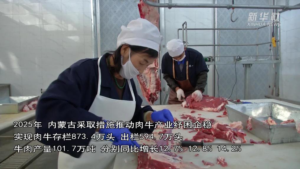 内蒙古牛肉产量突破100万吨