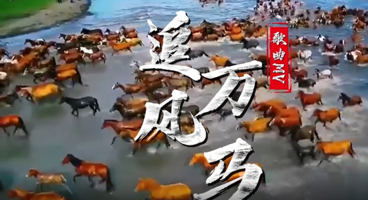 歌曲《万马追风》