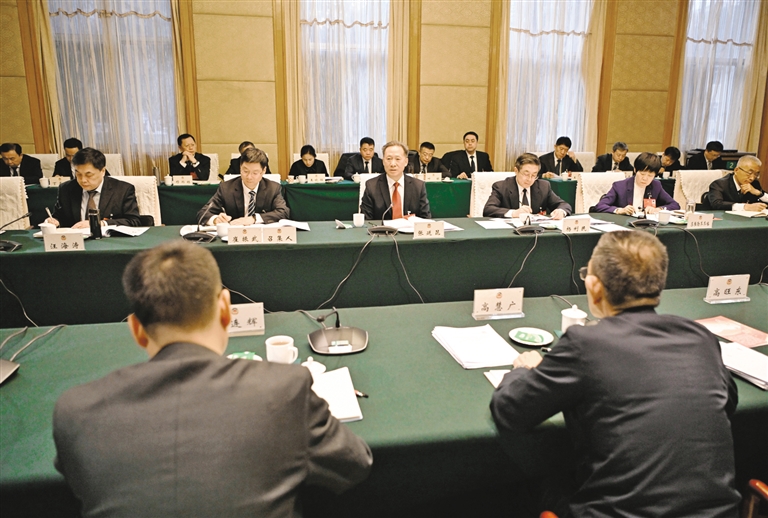 张延昆参加政协中共界审议