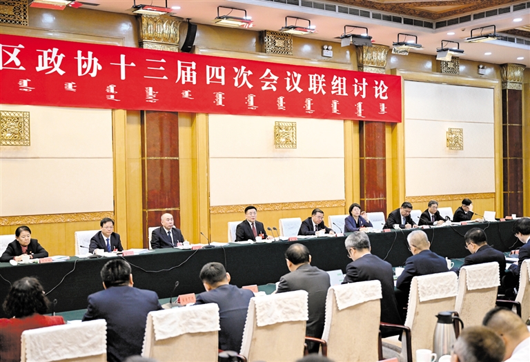 包钢参加政协委员联组讨论