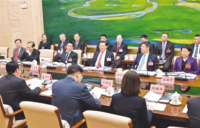 王伟中参加呼伦贝尔市代表团审议