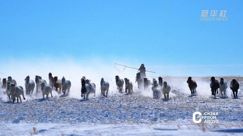 内蒙古：马踏飞雪