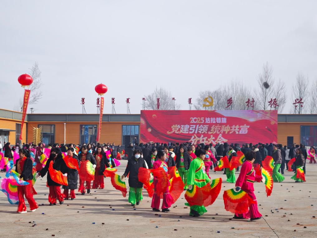 达拉特旗：“统种共富”集体种田“握指成拳”