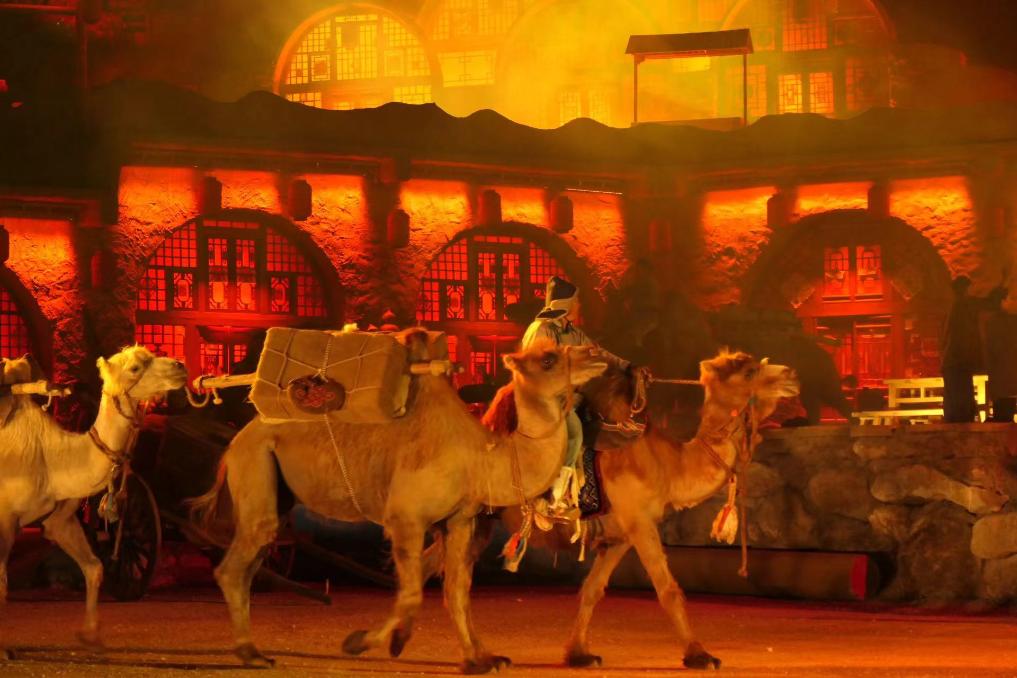 内蒙古呼和浩特：茶道古驿涌现消费新潮