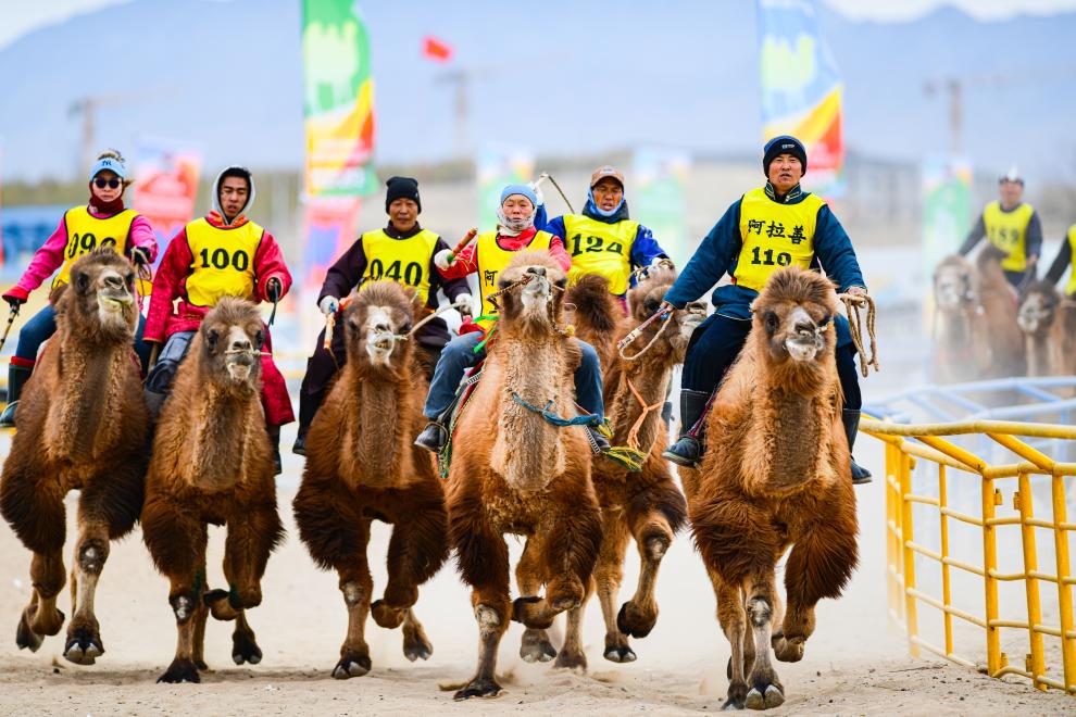 阿拉善骆驼超级联赛总决赛收官