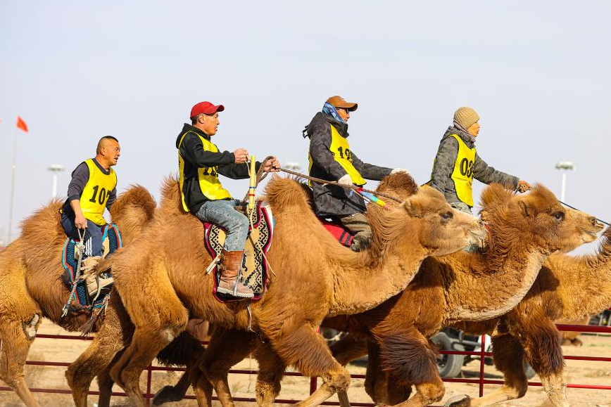 阿拉善骆驼超级联赛第四场月赛火热进行