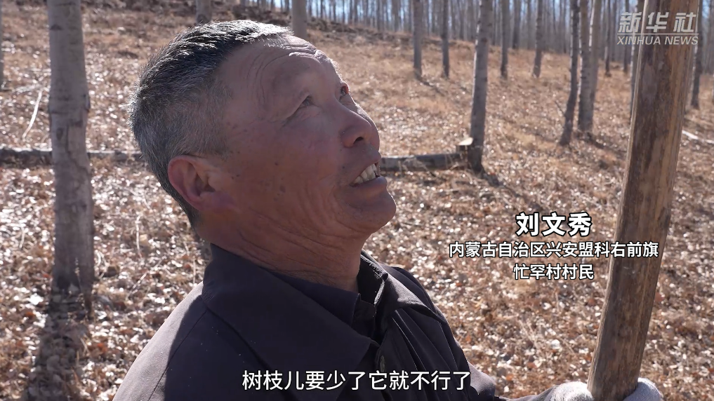 微纪录片｜一个人的森林