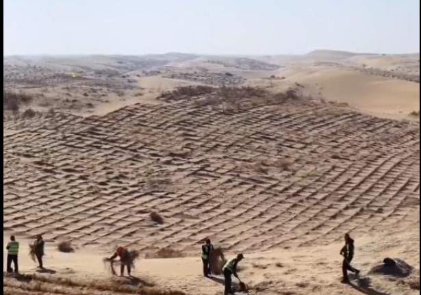 内蒙古开展春季防沙治沙工作