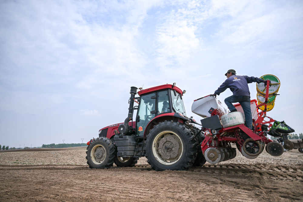 半月谈丨粮食多了，用水少了 稳粮实践南北观察
