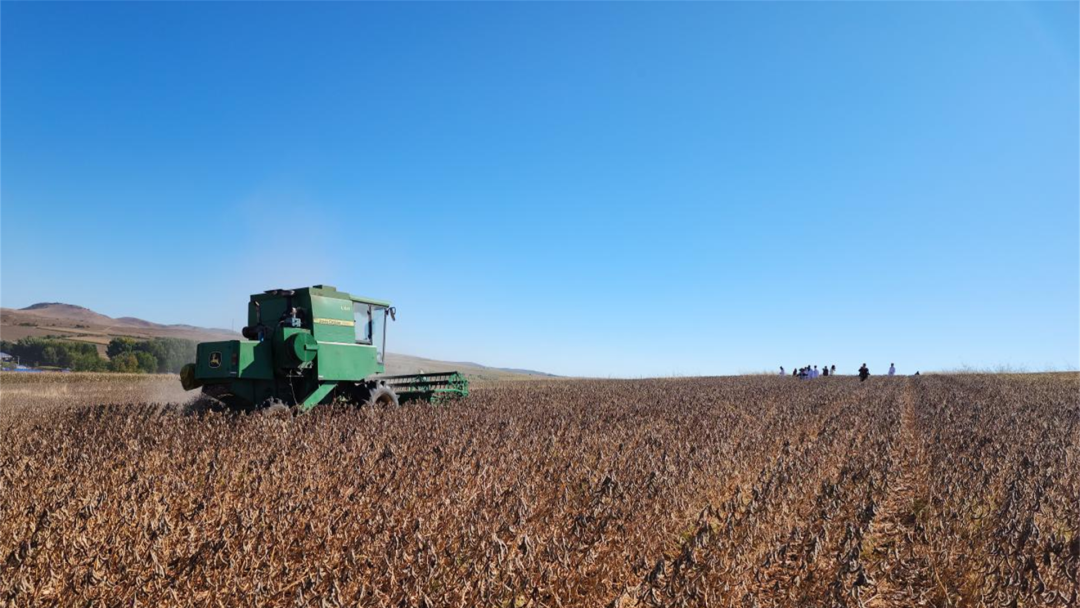 今年内蒙古主要抓好农牧领域“十大工程”