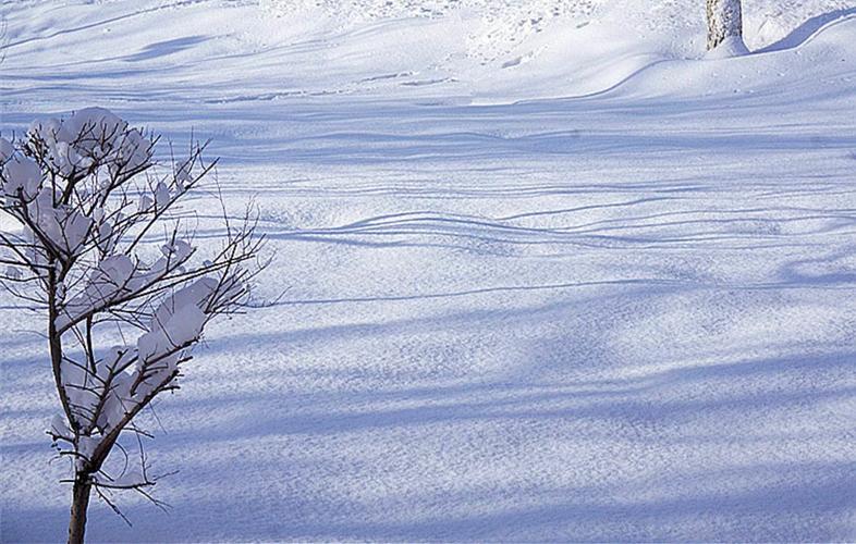 内蒙古呼伦贝尔织密织牢融雪防汛安全网