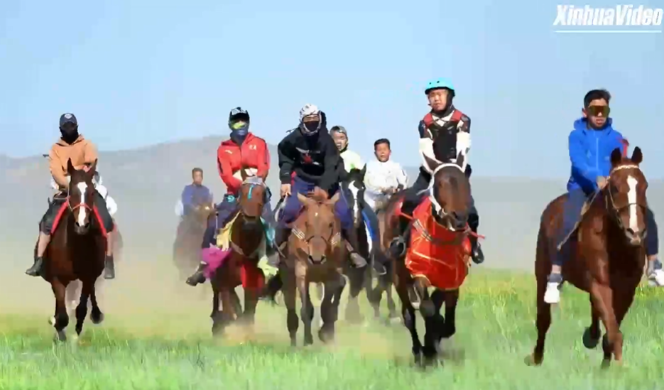 A Year of the Horse journey through Xilingol's living horse culture in north China