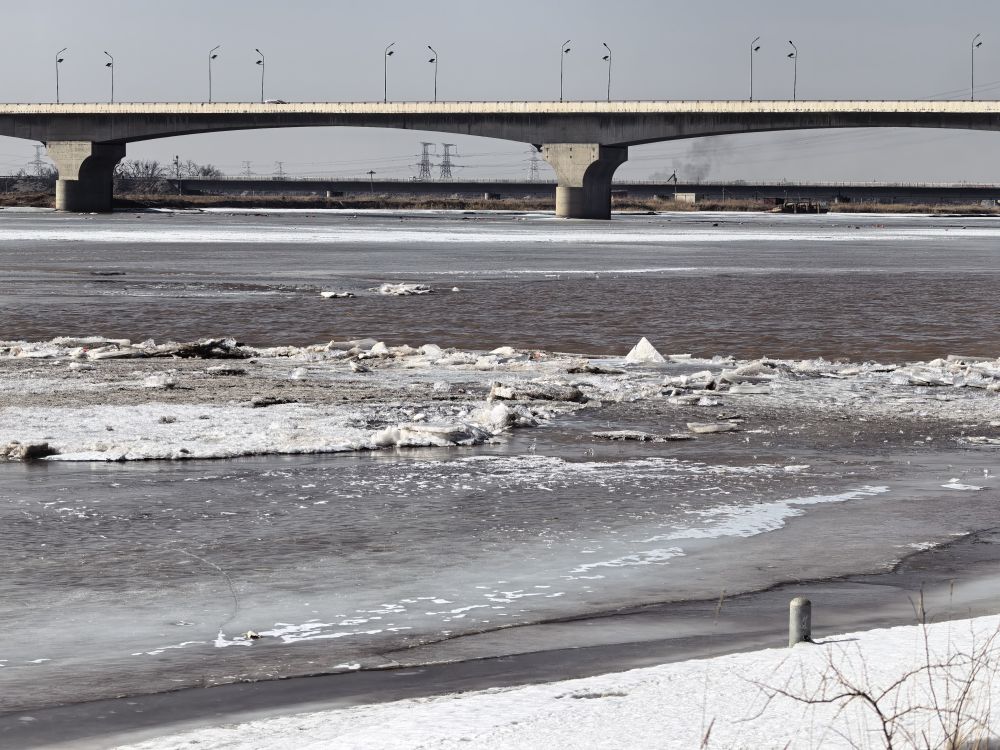 沿黄河城市成为春季旅游热门打卡地