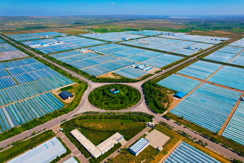 内蒙古鄂托克旗：以一株微藻 打造“世界藻都”