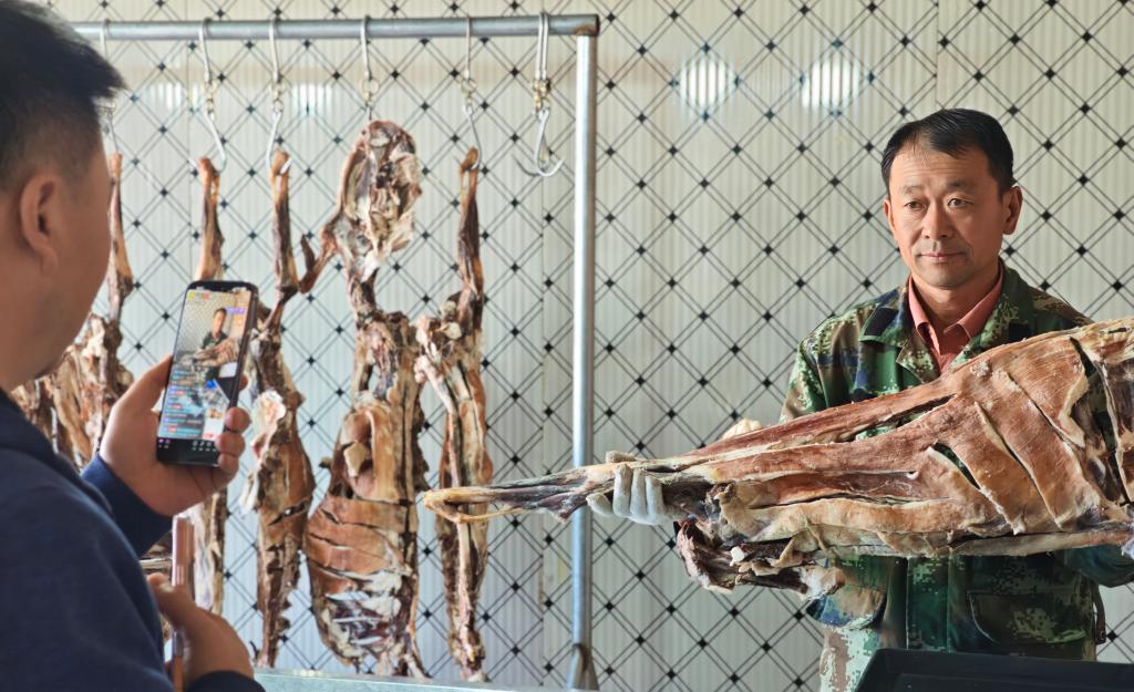 鄂托克旗“草原村播”让政策宣传与农牧民增收双向赋能