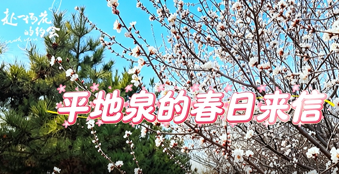 平地泉的春日来信