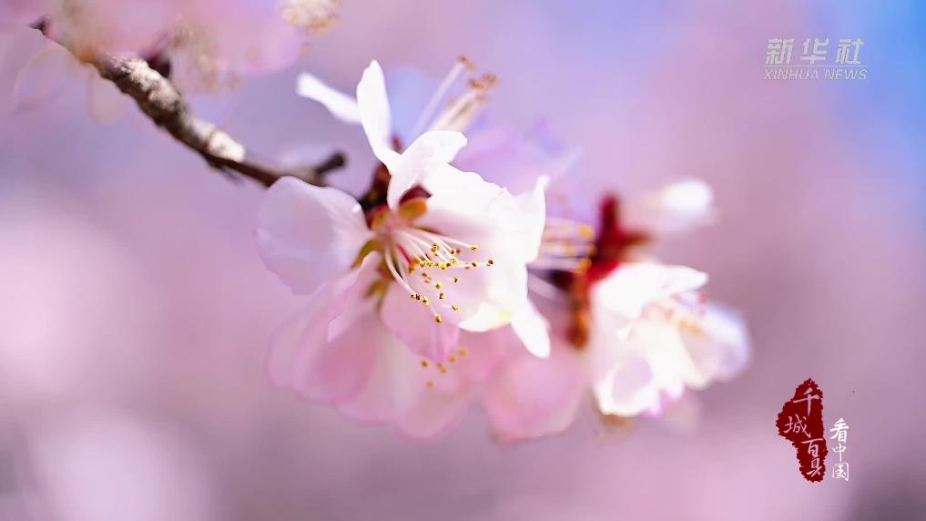 春水润城 万物生长