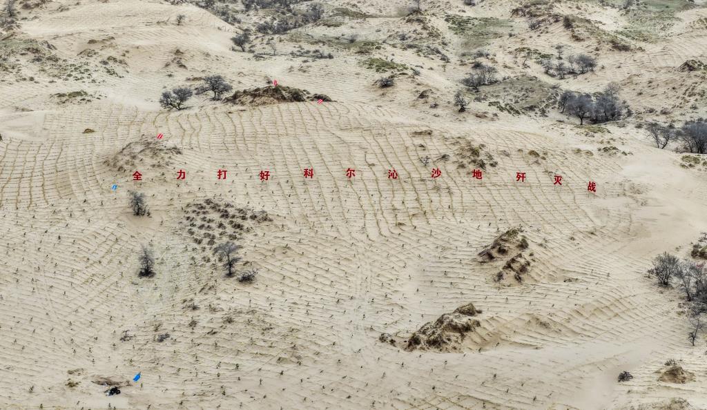 内蒙古通辽：科尔沁沙地歼灭战进行时