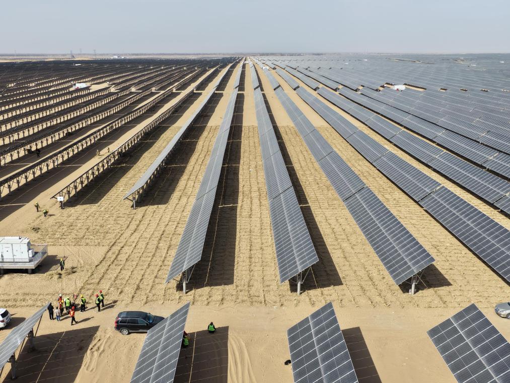 内蒙古纵深推进“三北”工程攻坚战