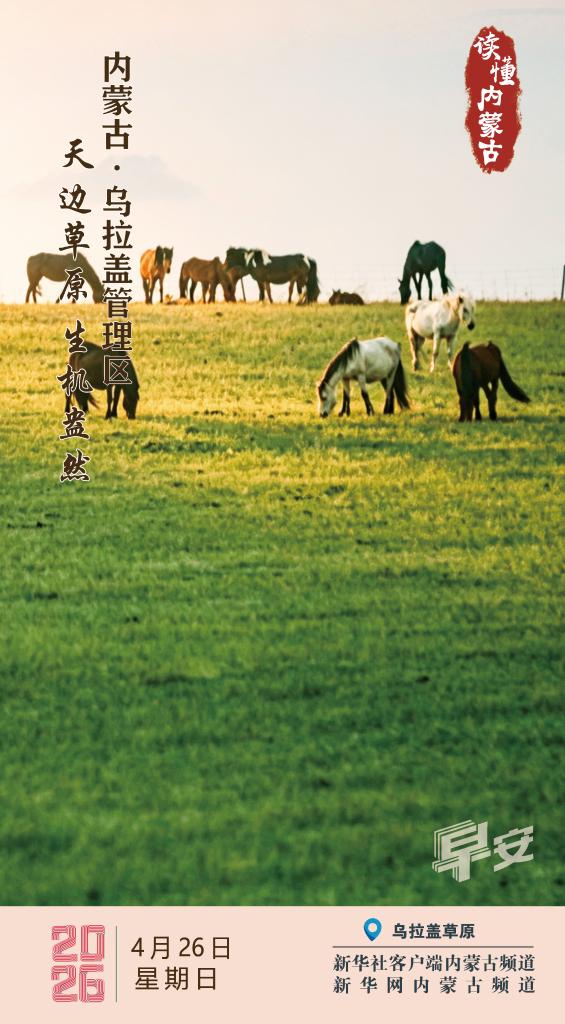 读懂内蒙古｜天边草原 生机盎然 乌拉盖管理区