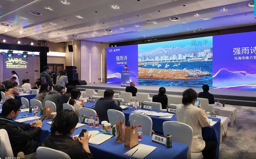 葡香乌海 沙漠看海
