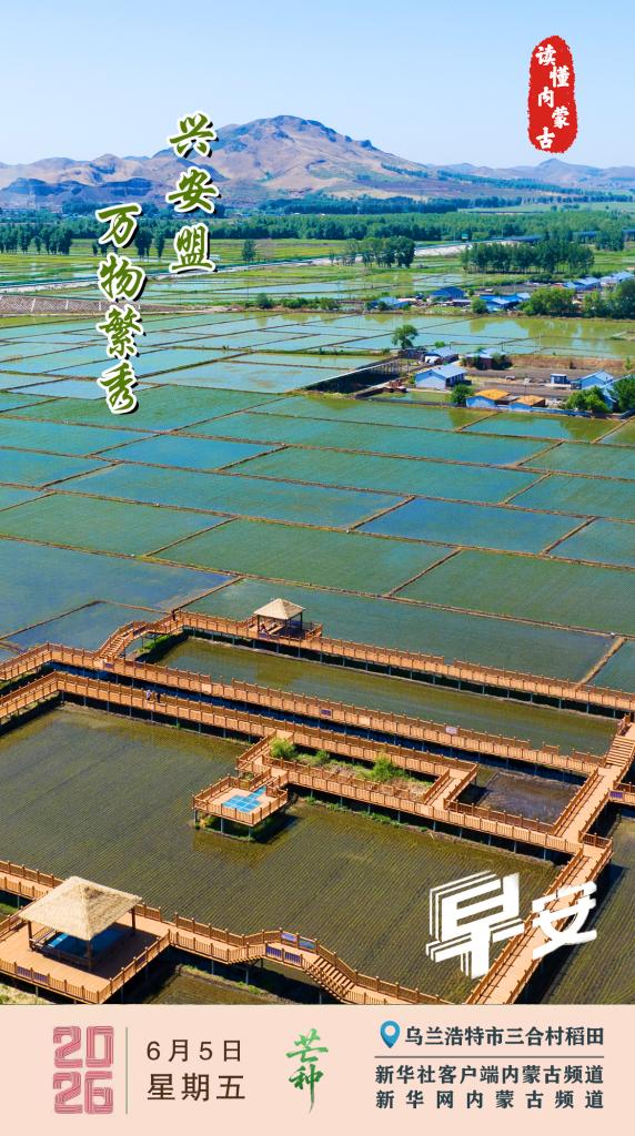 读懂内蒙古｜2026年6月5日 万物繁秀 兴安盟