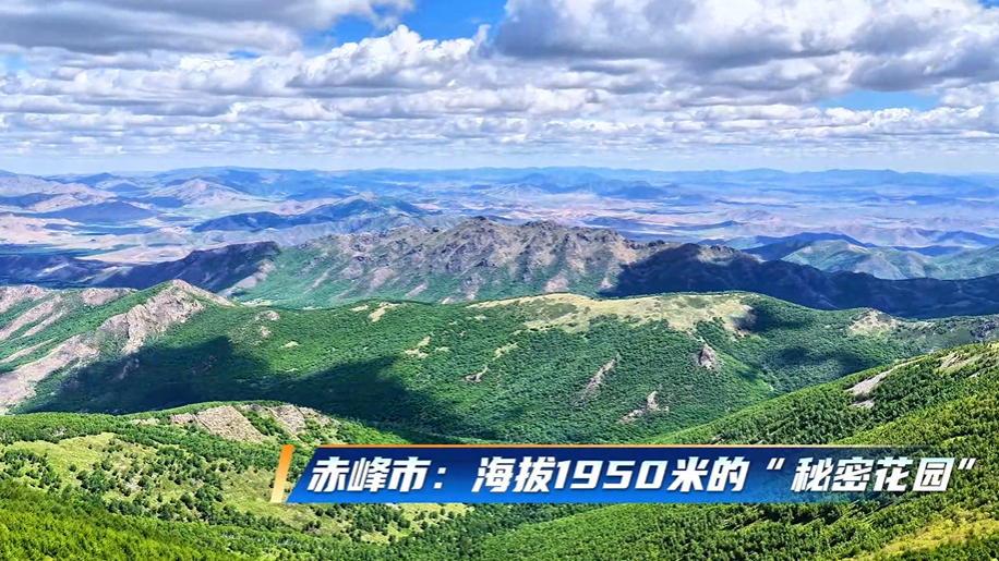 “乌兰察布之夜”升级版将在端午节盛世开街