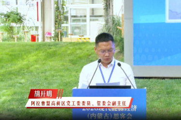 板上发电板下治沙 