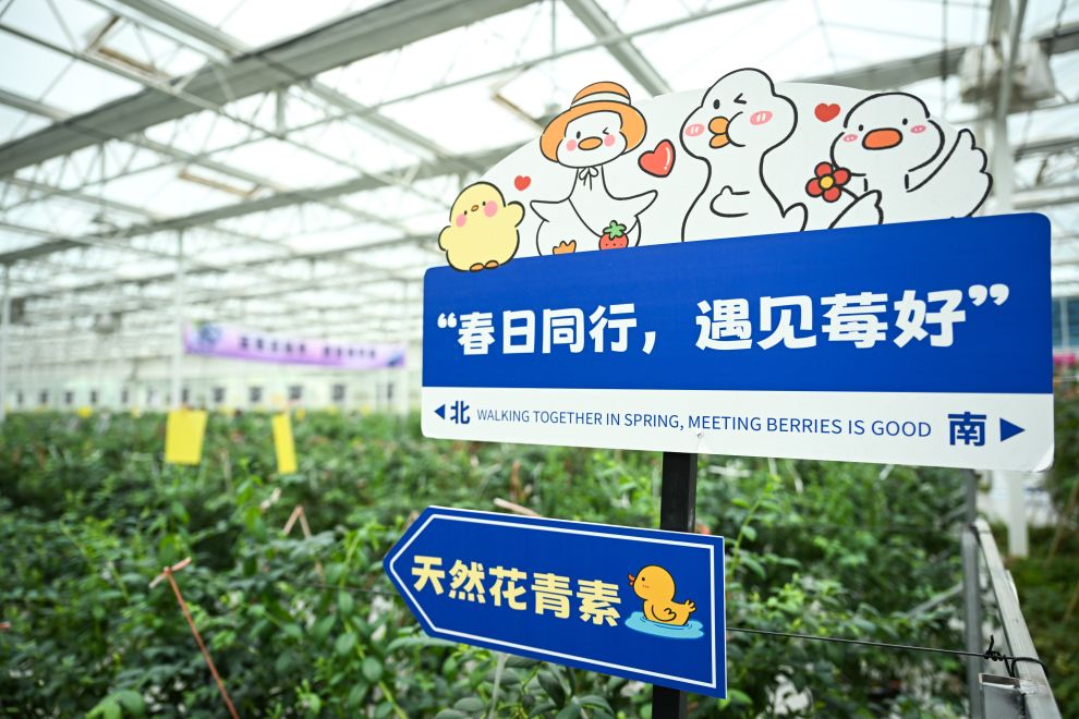 内蒙古突泉县：农文旅融合助力乡村经济发展