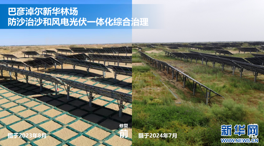 蒙草生态：探索生态与能源协同发展新路径