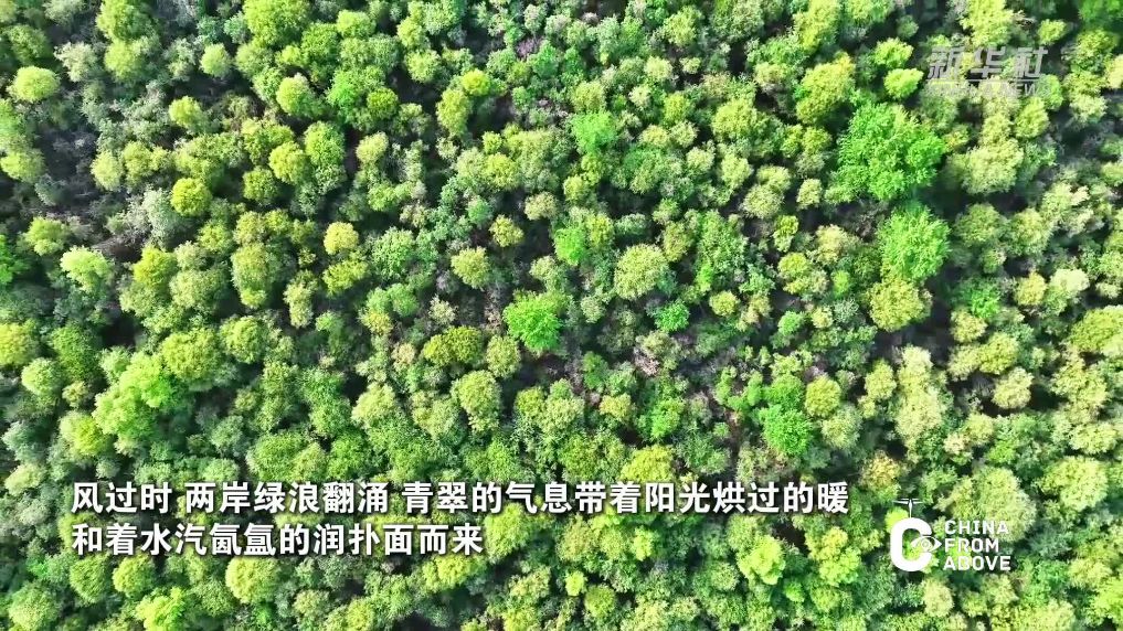 内蒙古：浑河两岸绿意浓