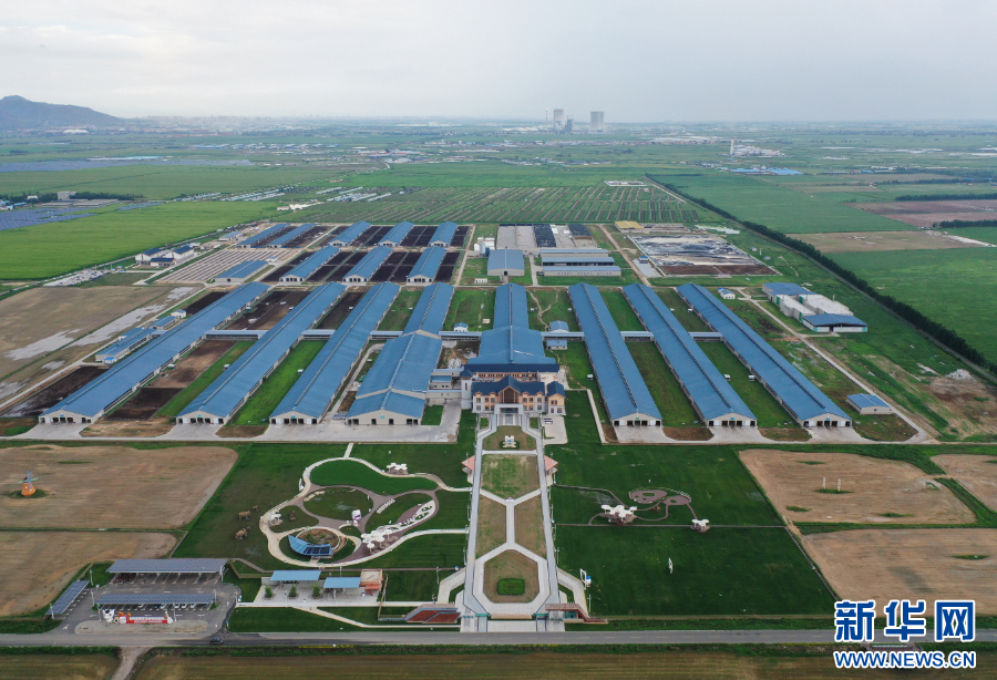 2026年世界奶业大会将在内蒙古呼和浩特举行