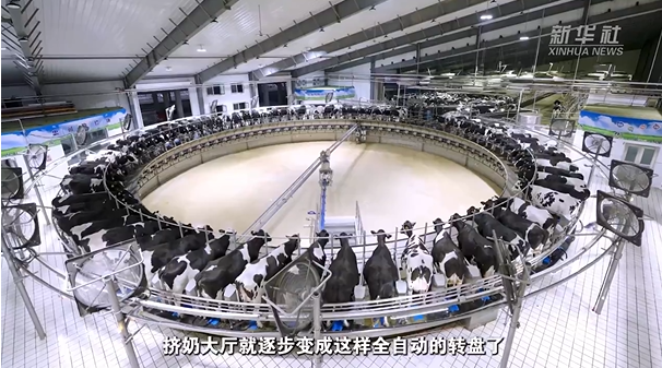 秀我中国｜老照片里的奶业“进化论”