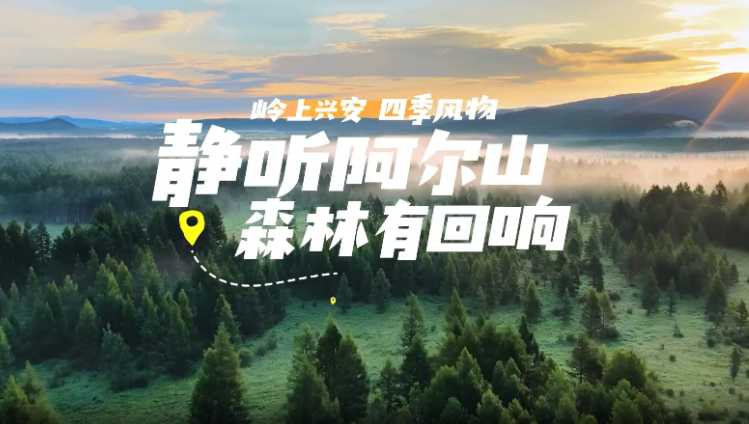 静听阿尔山 森林有回响