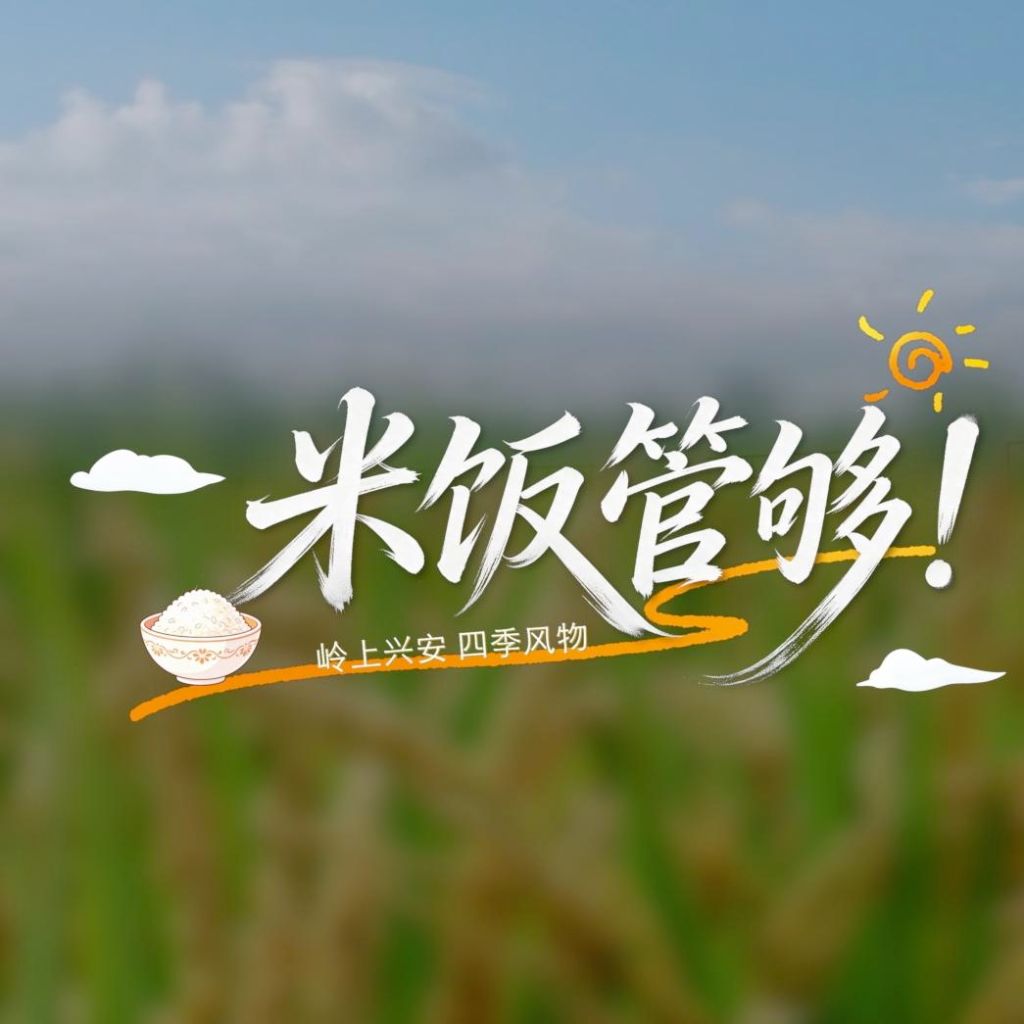 兴安盟：北纬46度上的稻花香