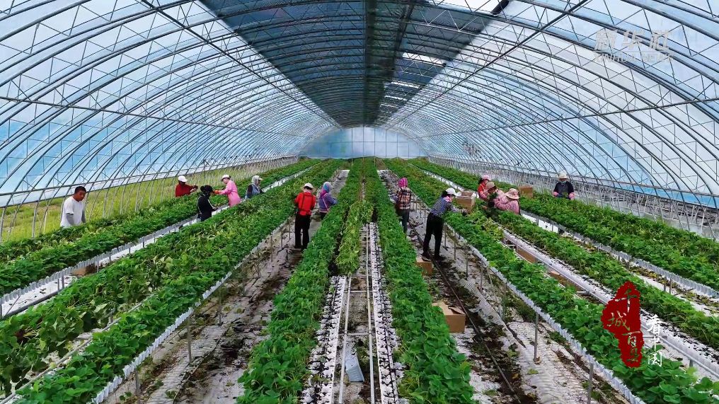 翠苗迎出圃 秋畦候新根
