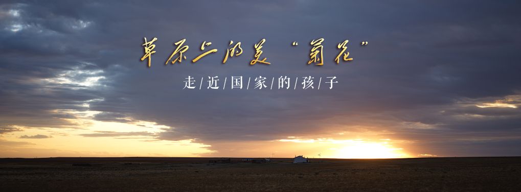 走近“国家的孩子”｜草原上的美“菊花”