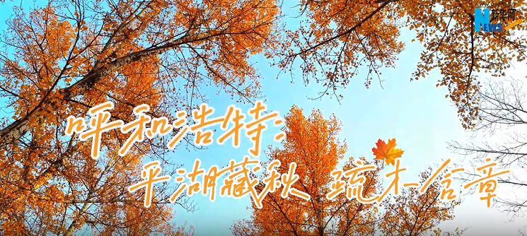 呼和浩特：平湖藏秋 疏木含章