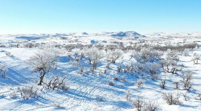 錫林郭勒草原冬日美景