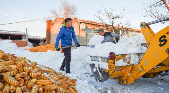 抗擊暴雪 內蒙古通遼組織農牧民自救減災